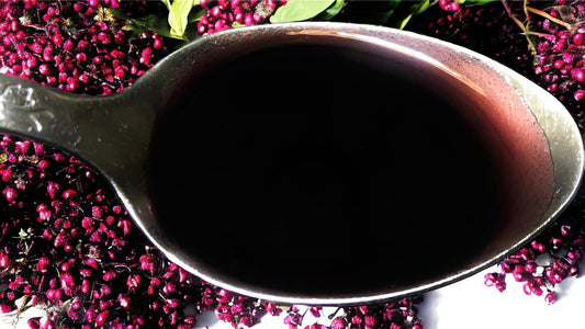 Tayyib Tree - Handmade Tallow Skincare & Holistic Health Products